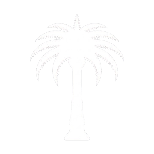 Palm USD Logo